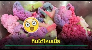 เรื่องแปลกญี่ปุ่น