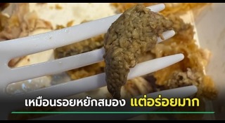ไก่ทอด