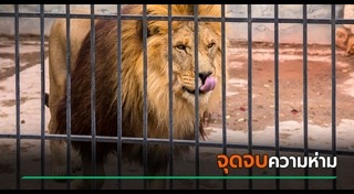 สิงโตกินคน