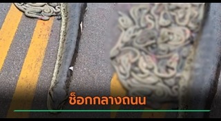 งูอนาคอนด้า