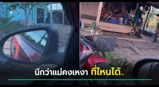 เซอร์ไพรส์แม่