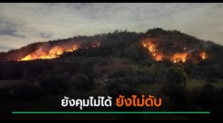 ไฟไหม้ป่า