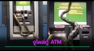 ความเชื่อ