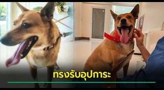 พระองค์เจ้าสิริภาจุฑาภรณ์