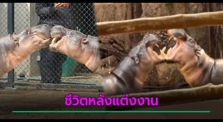 สวนสัตว์เปิดเขาเขียว