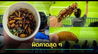 สนามฟุตบอล