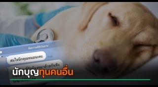 สัตวแพทย์