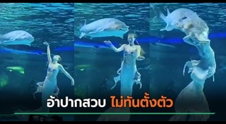 สัตว์ทำร้ายคน