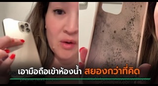 เชื้อรา