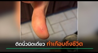 หัวหอมใหญ่