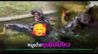 สวนสัตว์เปิดเขาเขียว