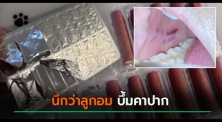 อุบัติเหตุจีน