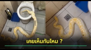 ชักโครก