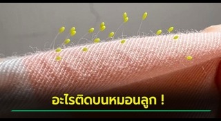 ภัยใกล้ตัวลูก