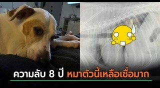 กระสุนปริศนา