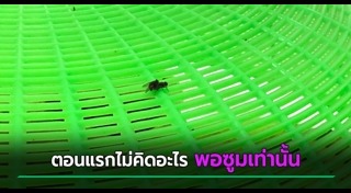 อาหารตามสั่ง