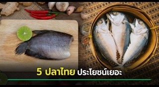 ปลาช่อน