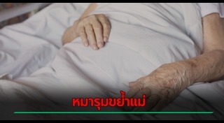 หมากัดคน