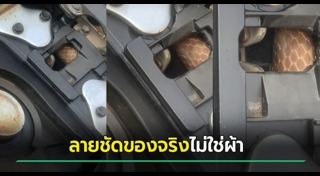 งูเข้ารถ