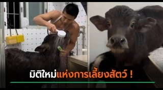 เรื่องแปลกจีน