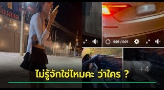 รถชนหมา