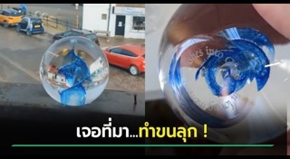 เรื่องขนหัวลุก