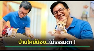 ตึก สตง. ถล่ม