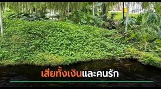 ฆ่าตัวตาย