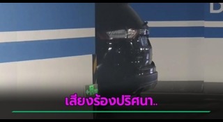 เซ็กส์ในรถ