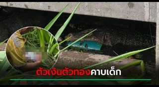 ตัวเงินตัวทอง