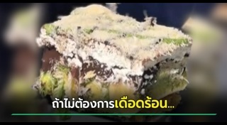 ร้านเค้ก