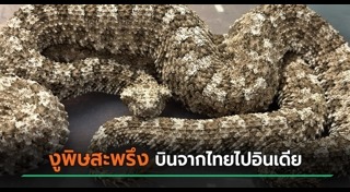 อินเดีย