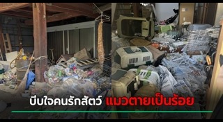 ทารุณสัตว์