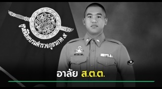 รถชนต้นไม้