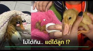 เรื่องแปลกจีน