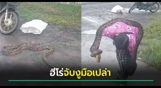 จับงูมือเปล่า