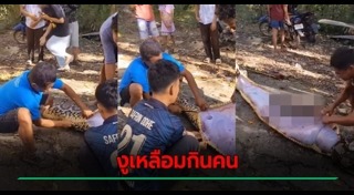 งูเหลือม