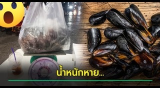 หอยแมลงภู่