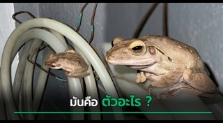 ห้องน้ำ