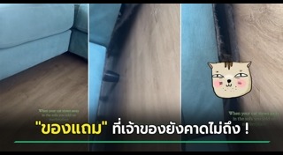 โซฟา