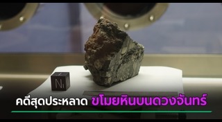 เรื่องแปลกทั่วโลก