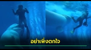 สวนสัตว์