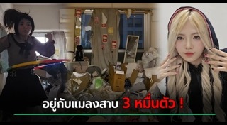 แมลงสาบ