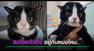 สัตว์โลกน่ารัก