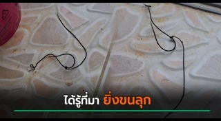 สัตว์แปลก