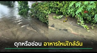 น้ำท่วมไทย