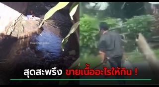 ทารุณสัตว์