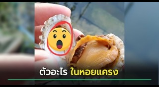 เรื่องแปลกไทย