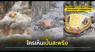 งูยักษ์