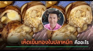 เจษฎา เด่นดวงบริพันธ์